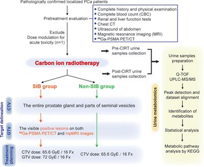 Carbon Ion Radiotherapy Induce Metabolic Inhibition After Functional Imaging-Guided Simultaneous Integrated Boost for Prostate Cancer